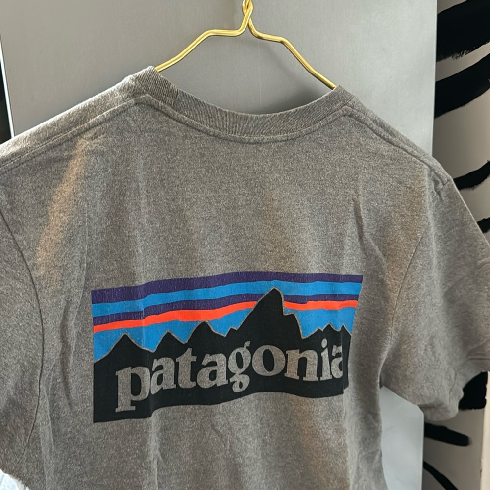 Patagonia Tshirt